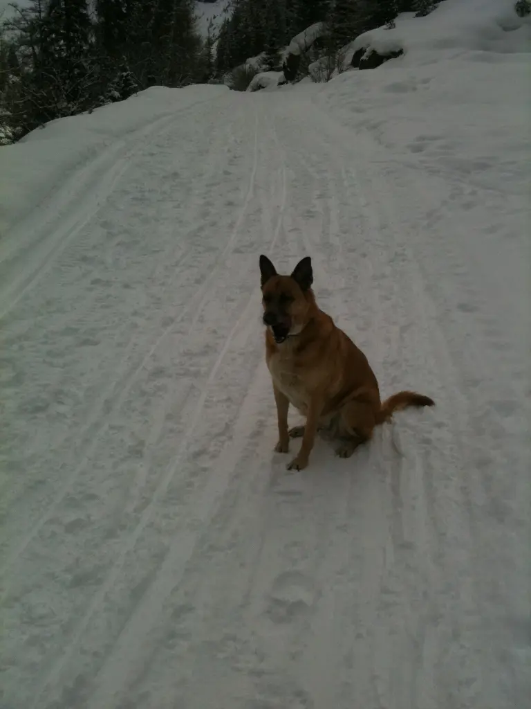 Condolence image of Heike