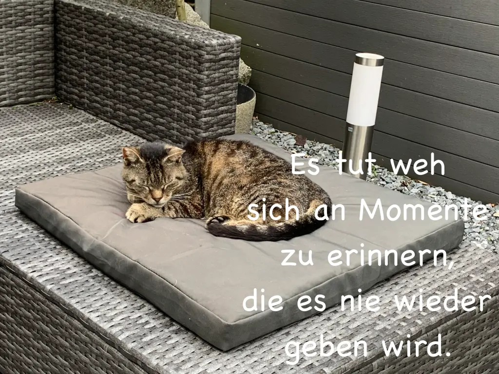 Image from Tigga