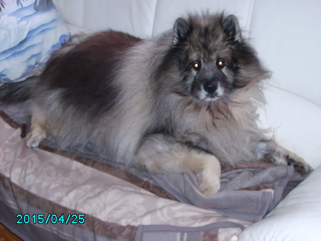 Image from Athos 