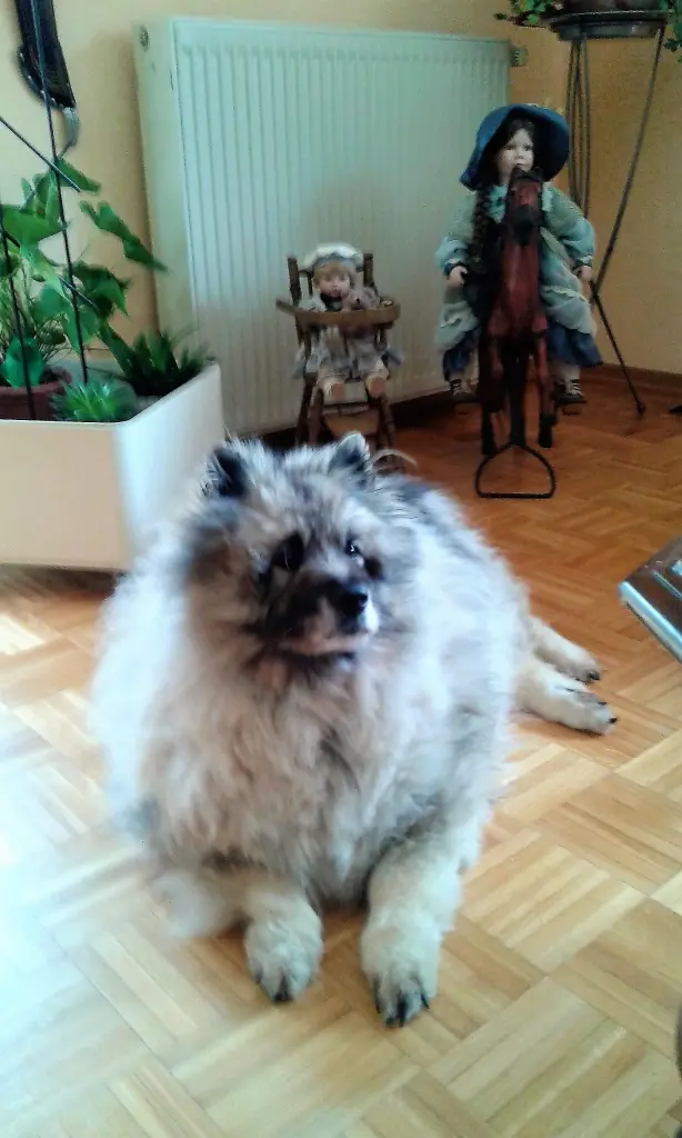 Image from Athos