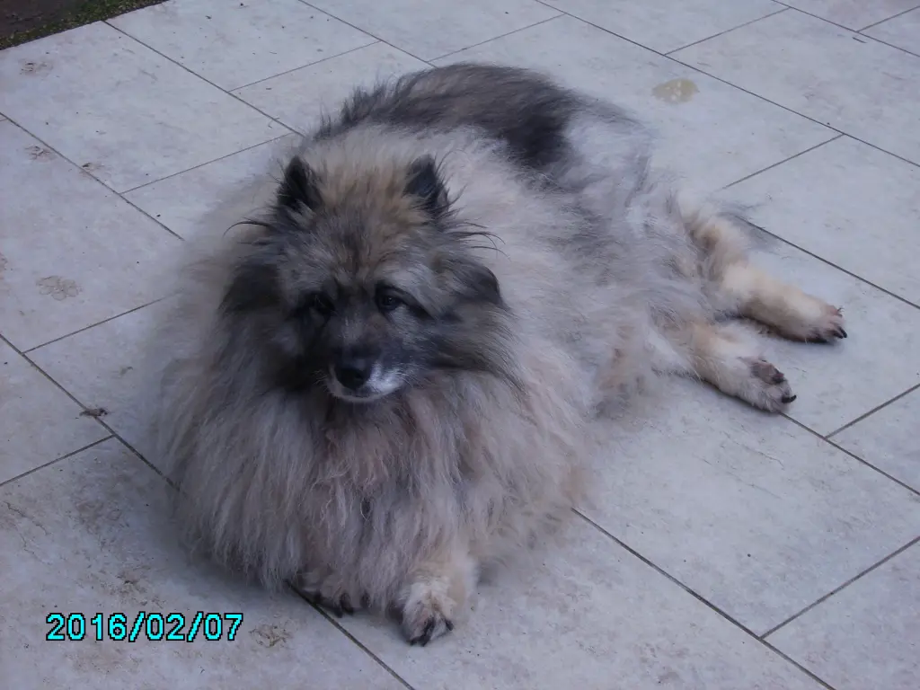 Image from Athos