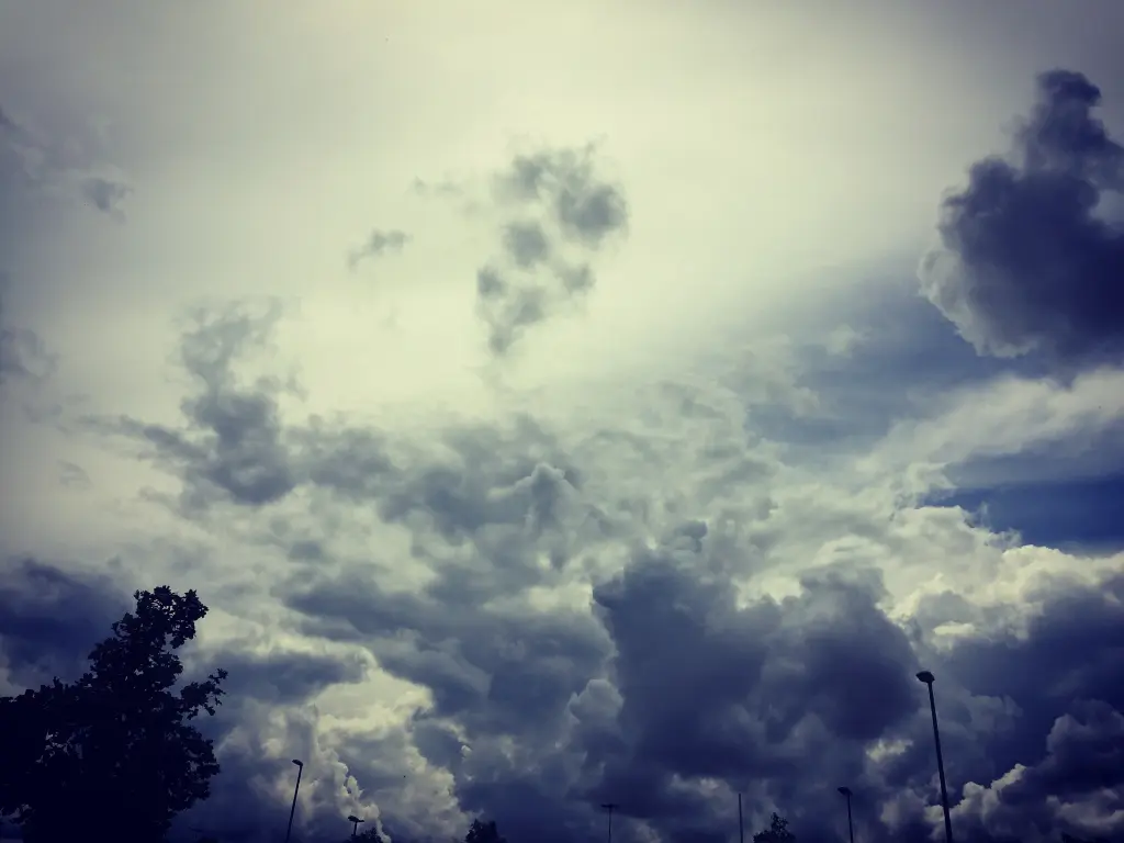Image from Ronja
