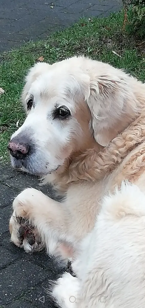 Condolence image of Heike