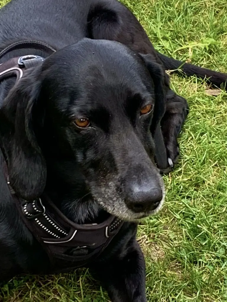 Condolence image of Claudia