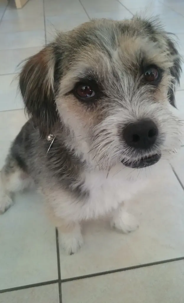 Image from Mylo