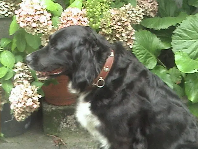 Condolence image of Michaela