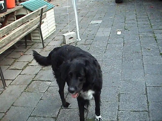 Condolence image of Unbekannt