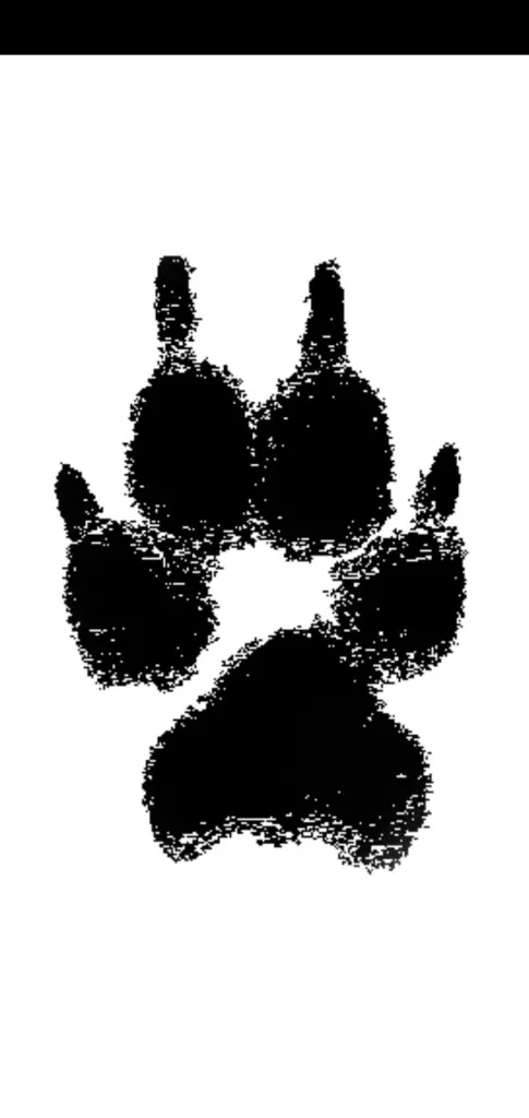 Condolence image of Denise