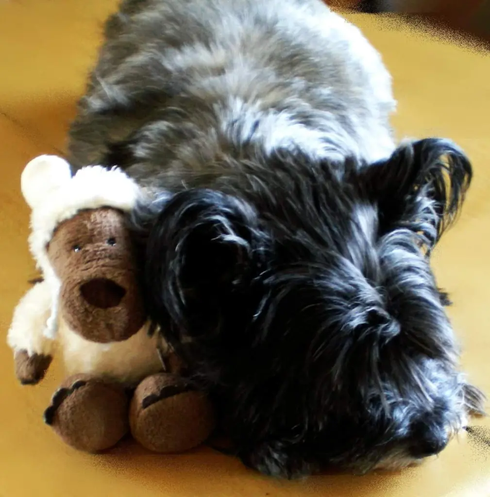 Condolence image of Sarah
