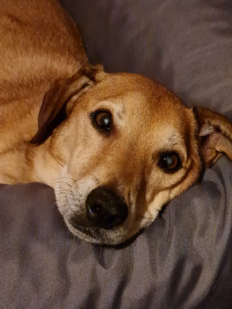 Image from Spooky