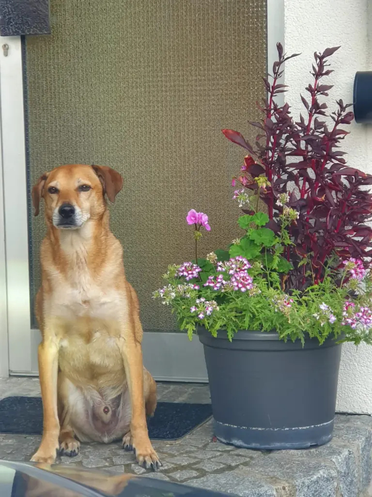 Image from Spooky