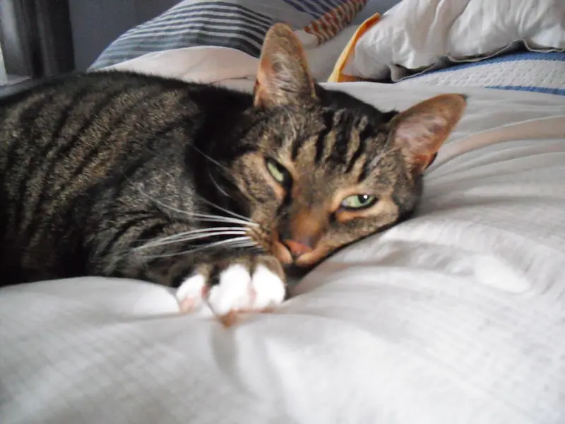 Condolence image of Karin und Benni, gest. 24.03.2021