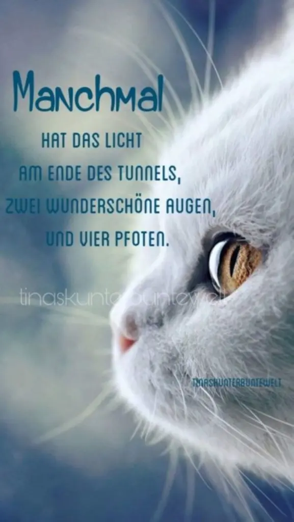 Condolence image of An Marple und Frauchen Elisabeth von Gatita und Silvia