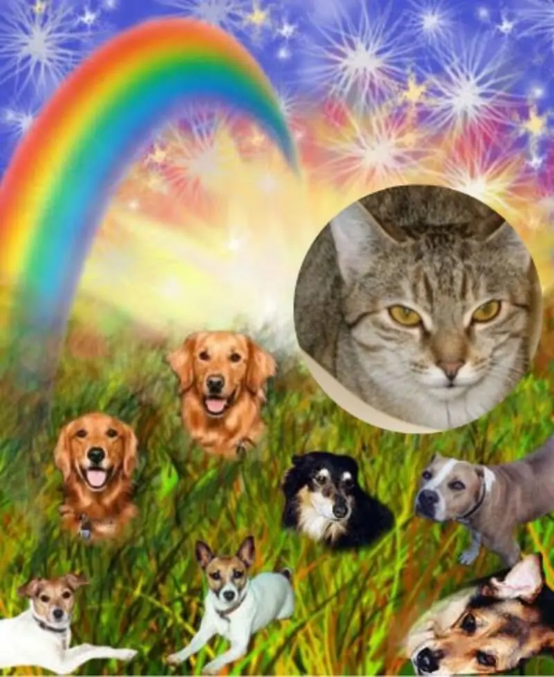 Condolence image of Fur Marplelein❤️