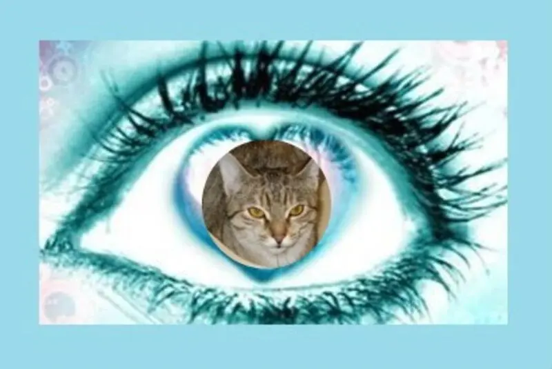 Condolence image of ❤️❤️❤️❤️❤️❤️❤️❤️❤️❤️❤️❤️❤️❤️