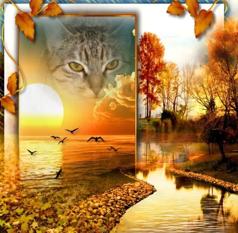 Condolence image of ❤️❤️❤️❤️❤️❤️❤️❤️❤️❤️❤️❤️❤️❤️