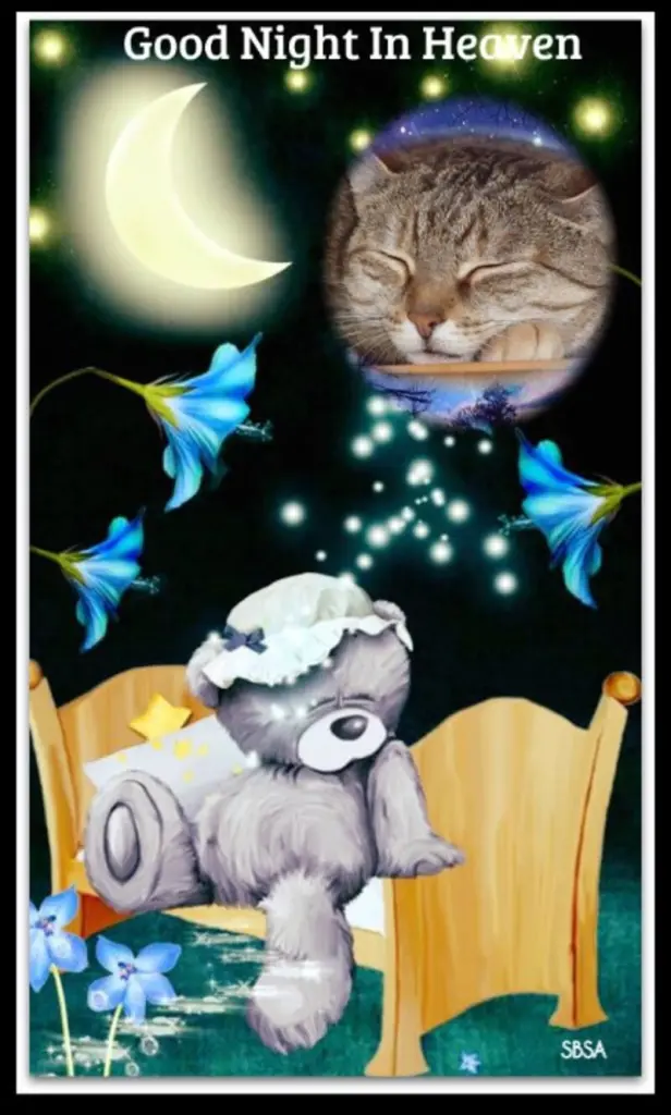 Condolence image of Gute Nacht❤️❤️❤️