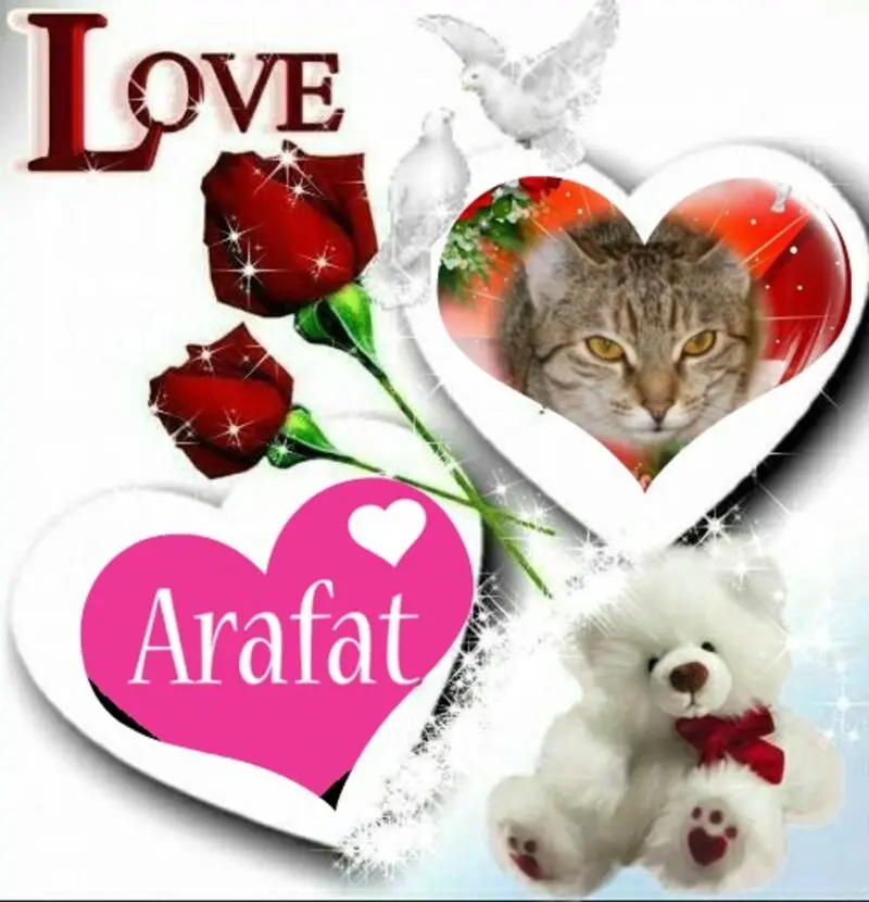 Condolence image of Fur Arafatchen❤️und Marplelein❤️