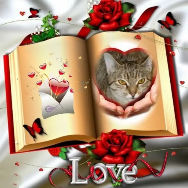 Condolence image of ❤️❤️❤️❤️❤️❤️❤️❤️❤️❤️❤️❤️❤️❤️