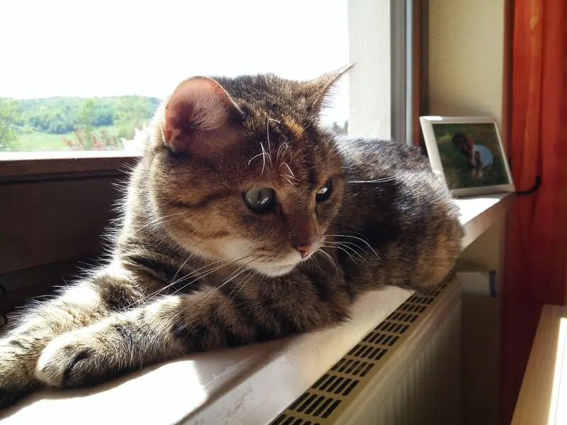 Condolence image of Daniela mit Pauline im ♥️ (+27.05.2021)