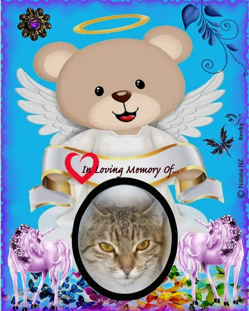 Condolence image of ❤️❤️❤️❤️❤️❤️❤️❤️❤️❤️❤️❤️❤️❤️