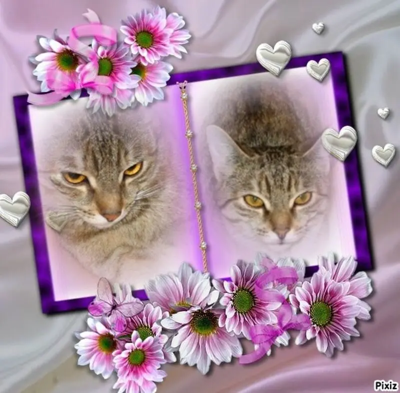 Condolence image of Patricia mit Bunny im ❤ gest. 24.11.2020 