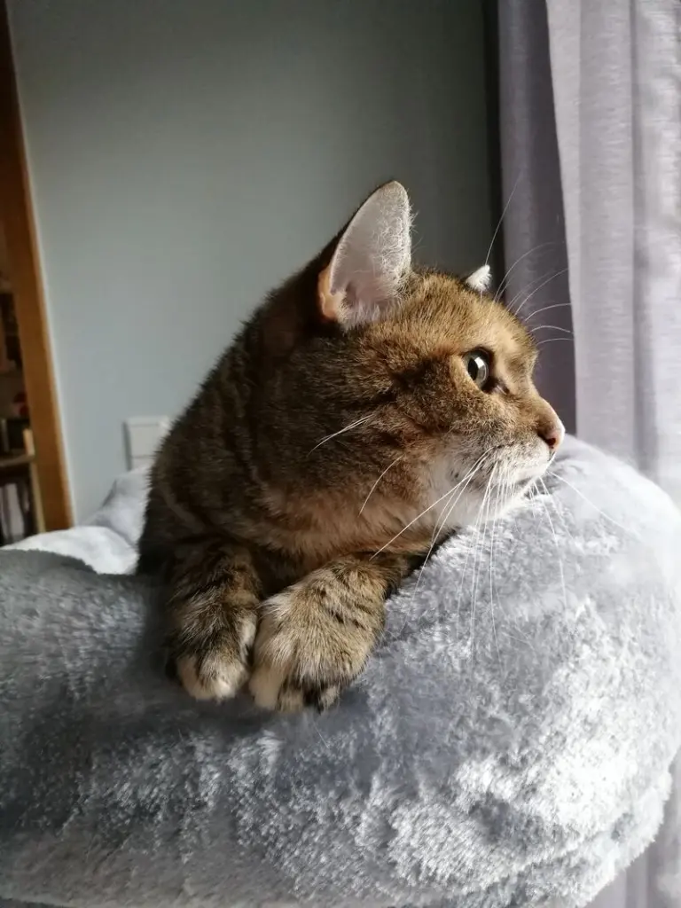 Condolence image of Daniela mit Pauline im ♥️ (+27.05.2021)