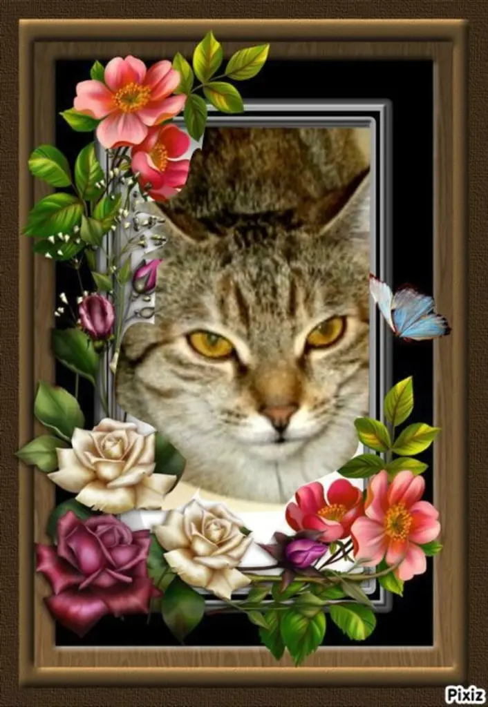 Condolence image of Tanja mit Timmy im Herzen 