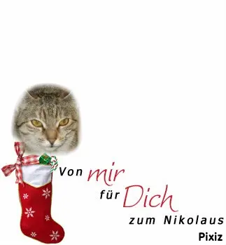 Condolence image of Tanja mit Timmy im Herzen 