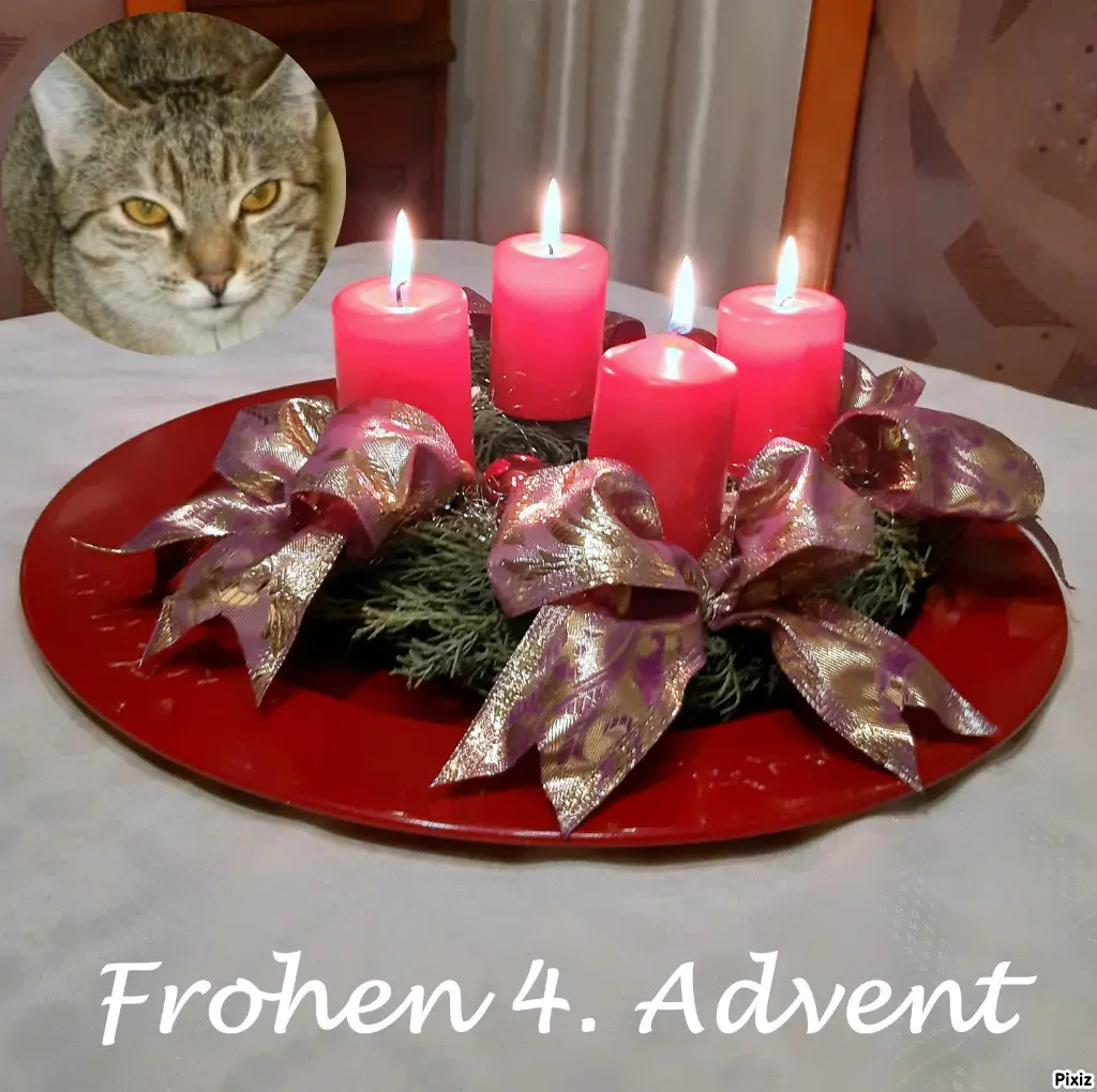 Condolence image of Tanja mit Timmy im Herzen 