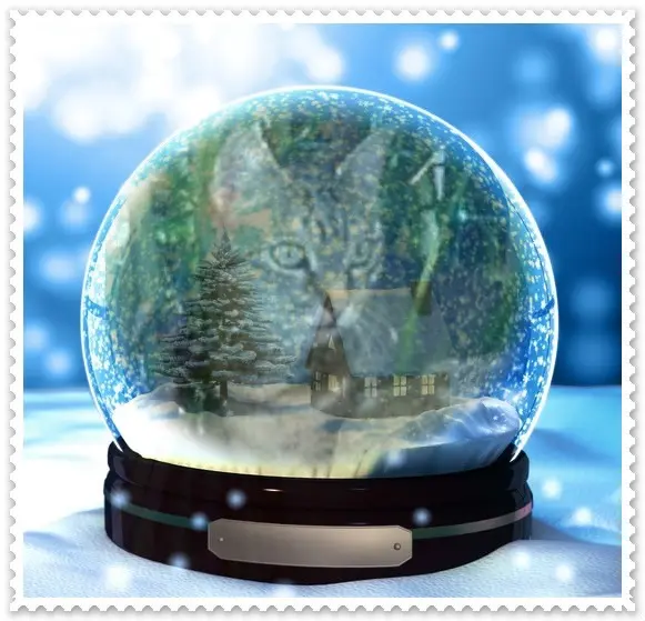 Condolence image of Patricia mit Bunny 