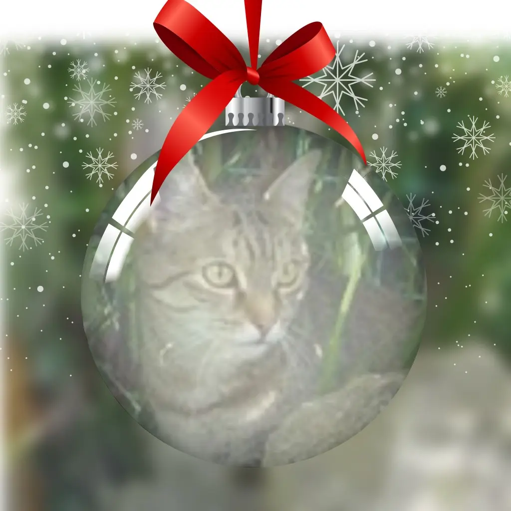 Condolence image of Sternchenpost ⭐