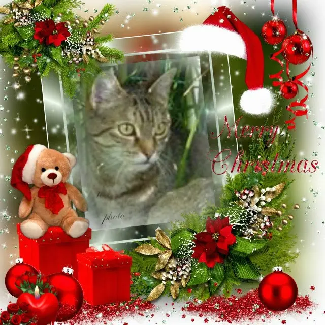 Condolence image of Patricia mit Bunny 