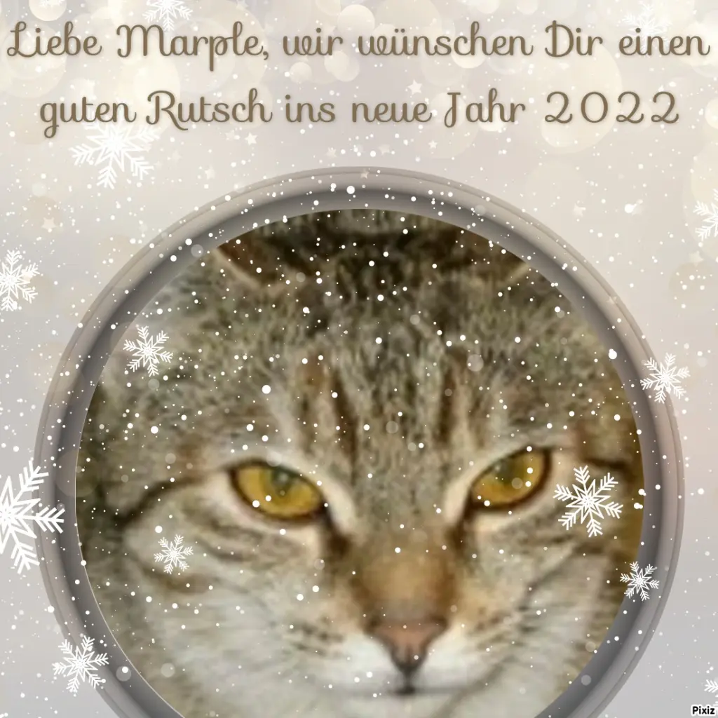 Condolence image of Tanja mit Timmy im Herzen 