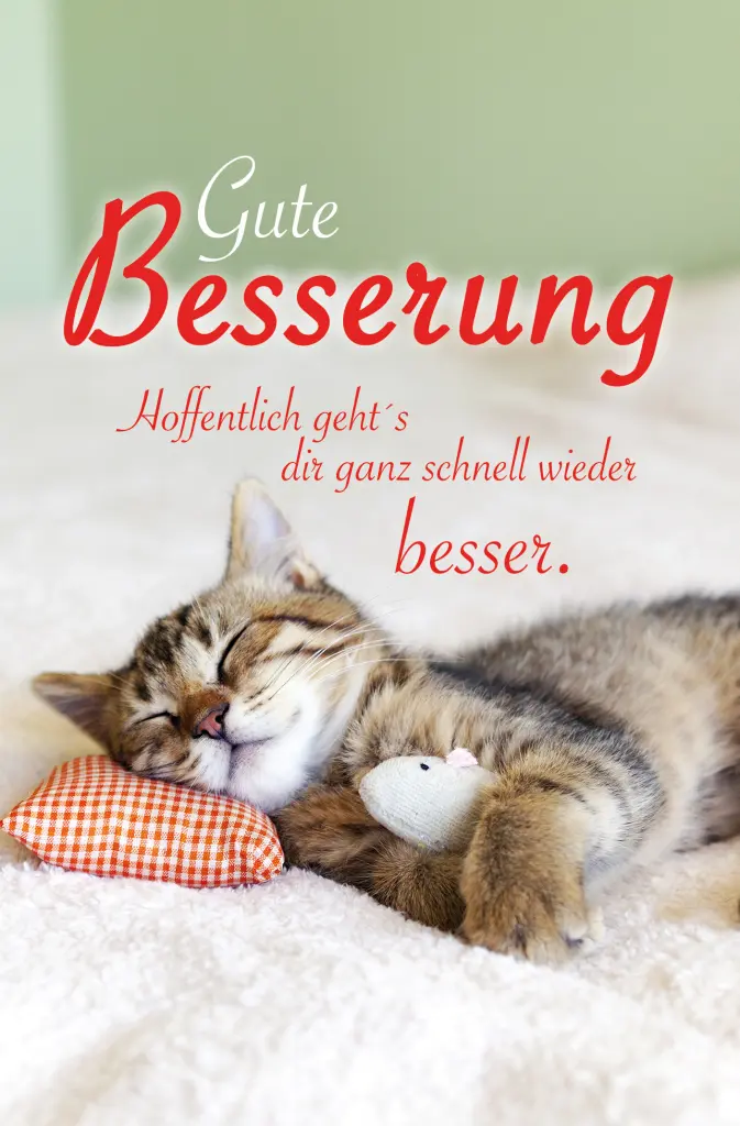 Condolence image of Tanja mit Timmy im Herzen 