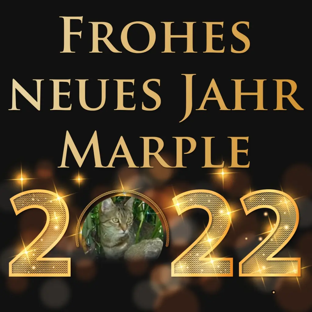 Condolence image of Patricia mit Bunny 