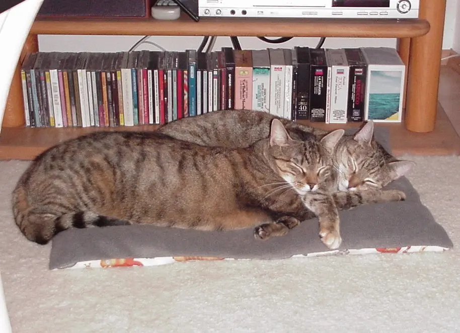 Condolence image of Elisabeth mit Christie