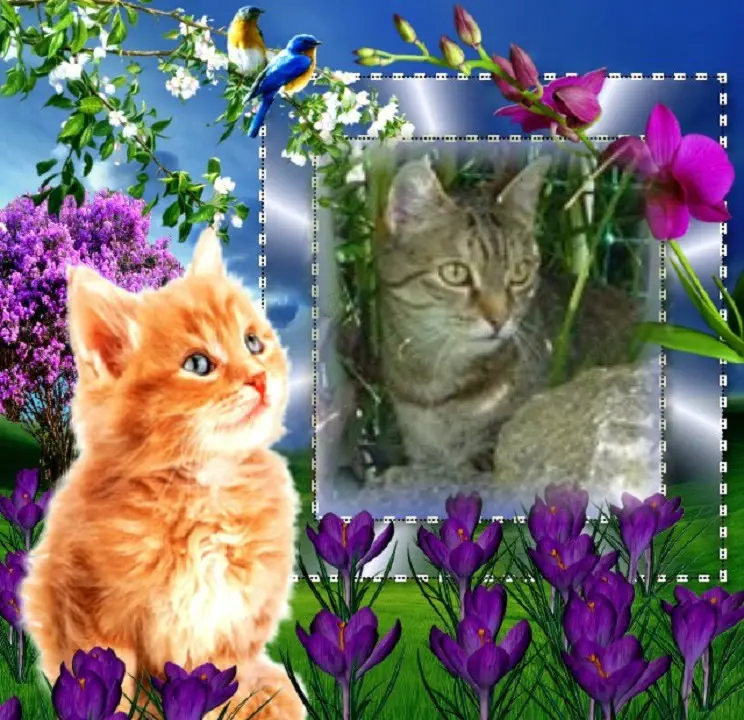 Condolence image of Patricia mit Bunny 