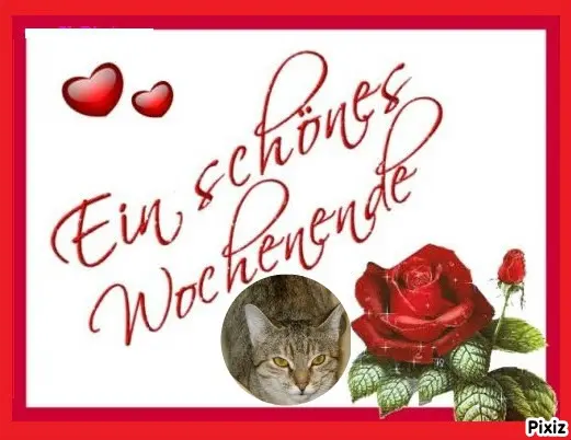 Condolence image of Tanja mit Timmy im Herzen 