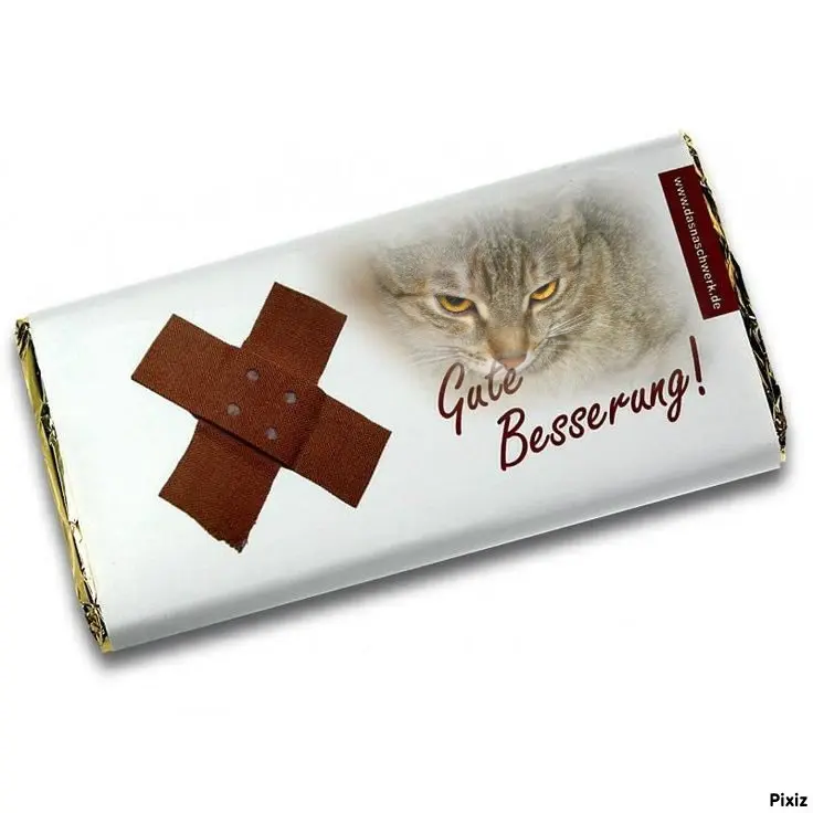 Condolence image of Post von Timmys Mutti Tanja an Marple und Mama Elisabeth