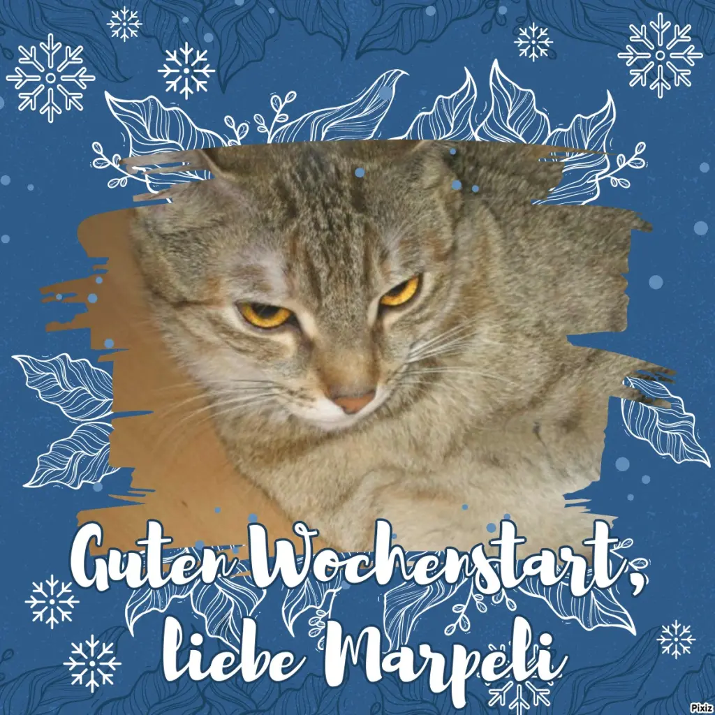 Condolence image of Tanja mit Timmy im Herzen 