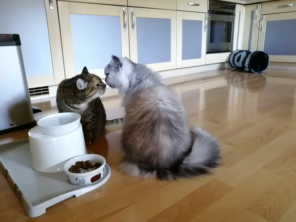 Condolence image of Pauline an Mama Elisabeth ♥️