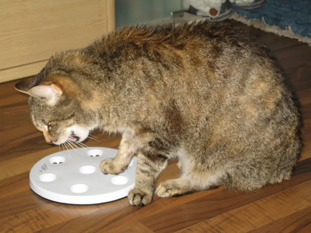 Condolence image of Christie für meine Schwester Marple