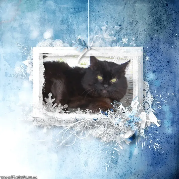 Condolence image of Carmen mit Ravi und Zausel