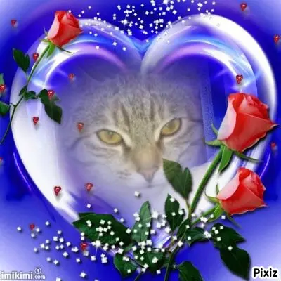 Condolence image of Tanja mit Timmy im Herzen 