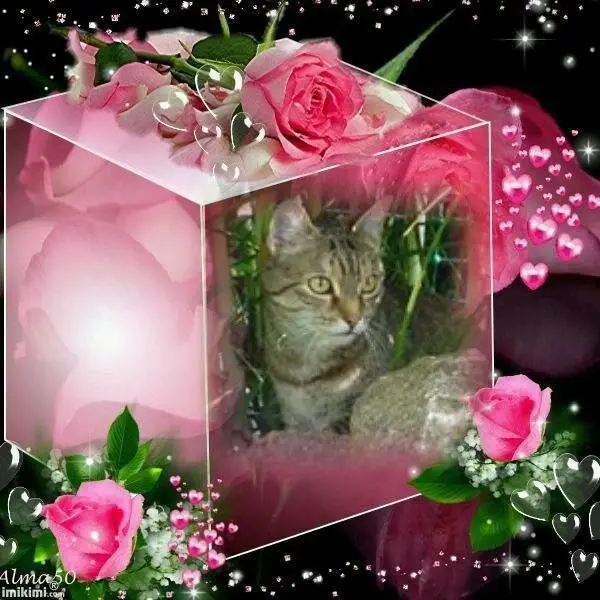 Condolence image of Patricia mit Bunny 