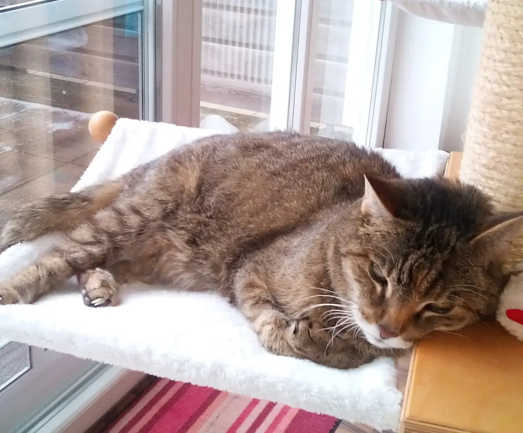 Condolence image of Christie