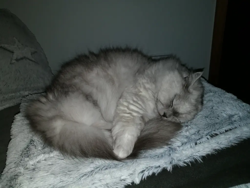 Condolence image of Unbekannt