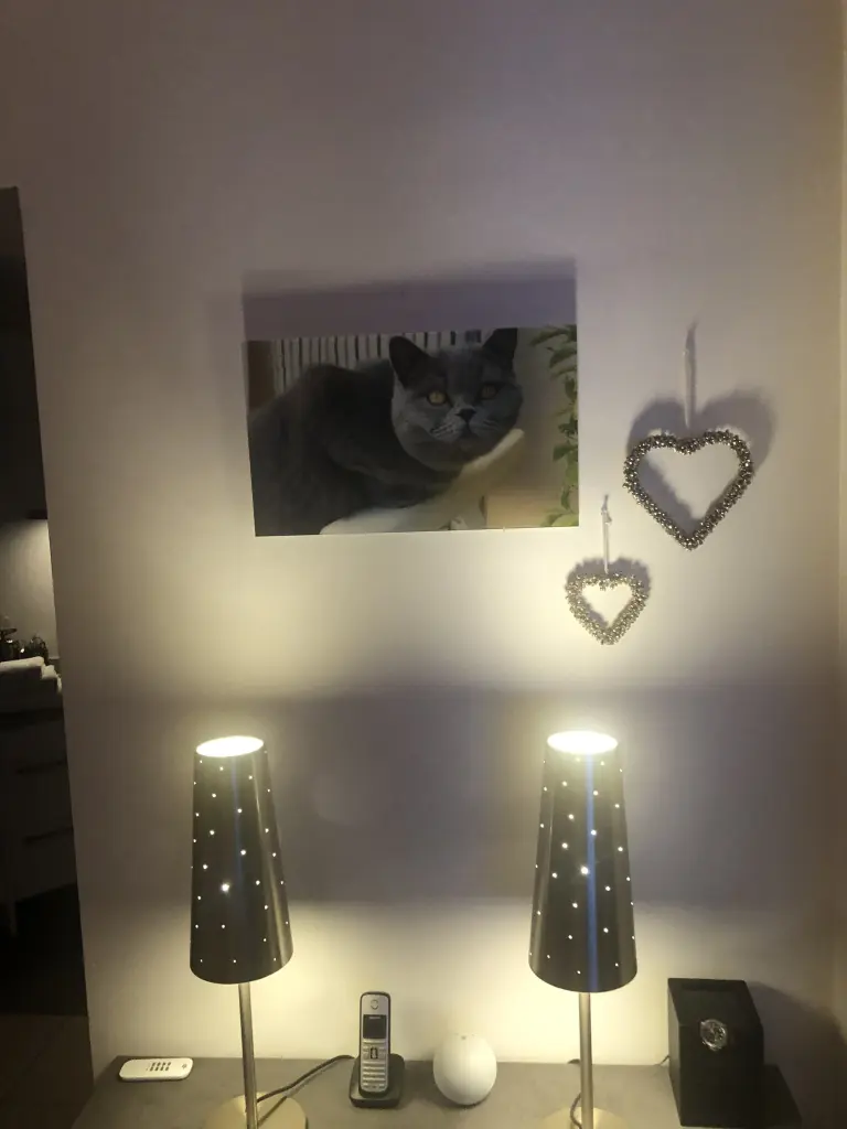 Condolence image of Sonja für Marple und Mama Elisabeth