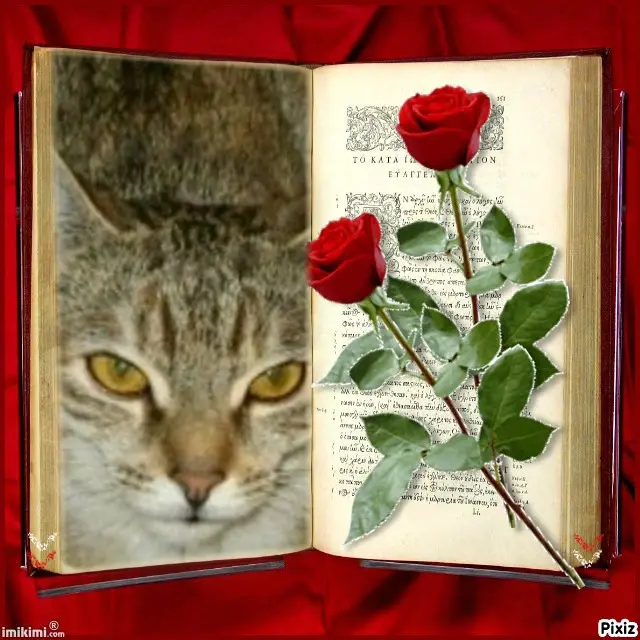 Condolence image of Tanja mit Timmy im Herzen 